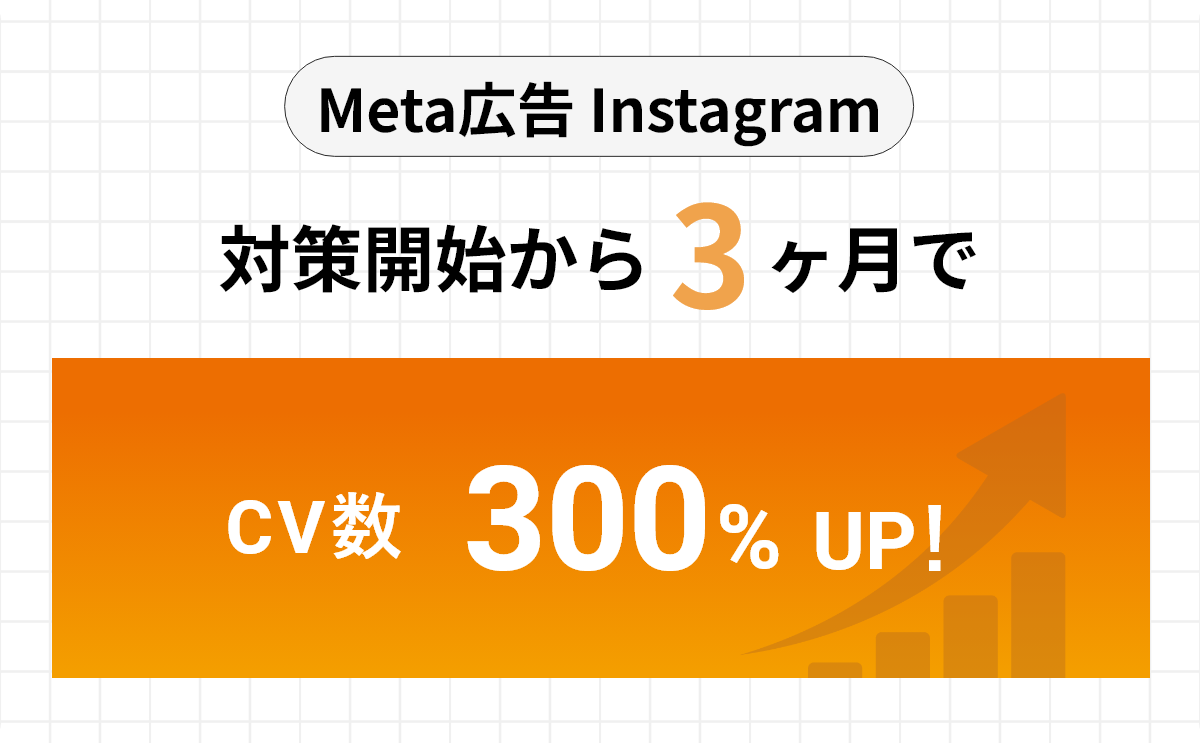 Meta_N社